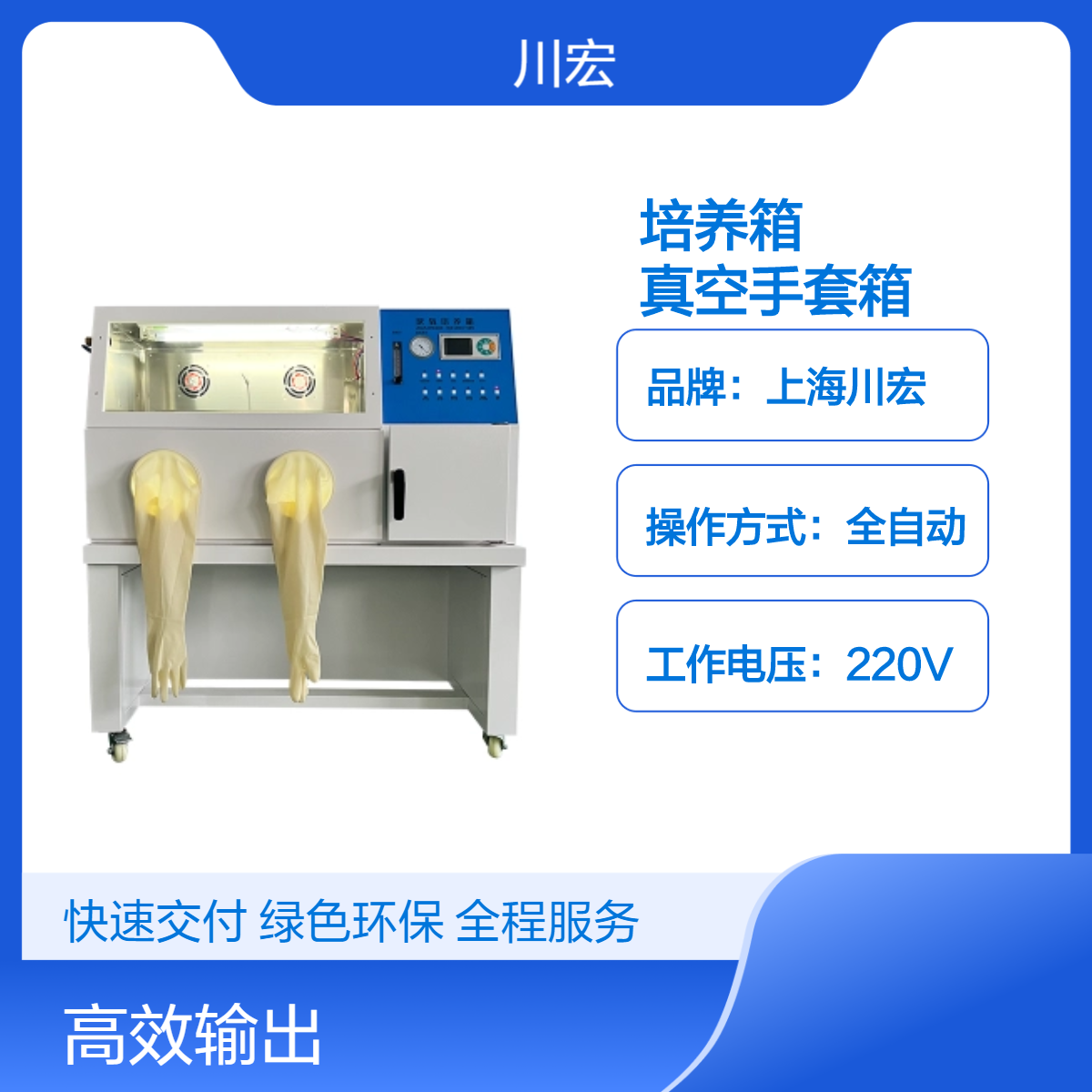 常规厌氧培养箱 YQX-II 微需氧真空恒温手套装置