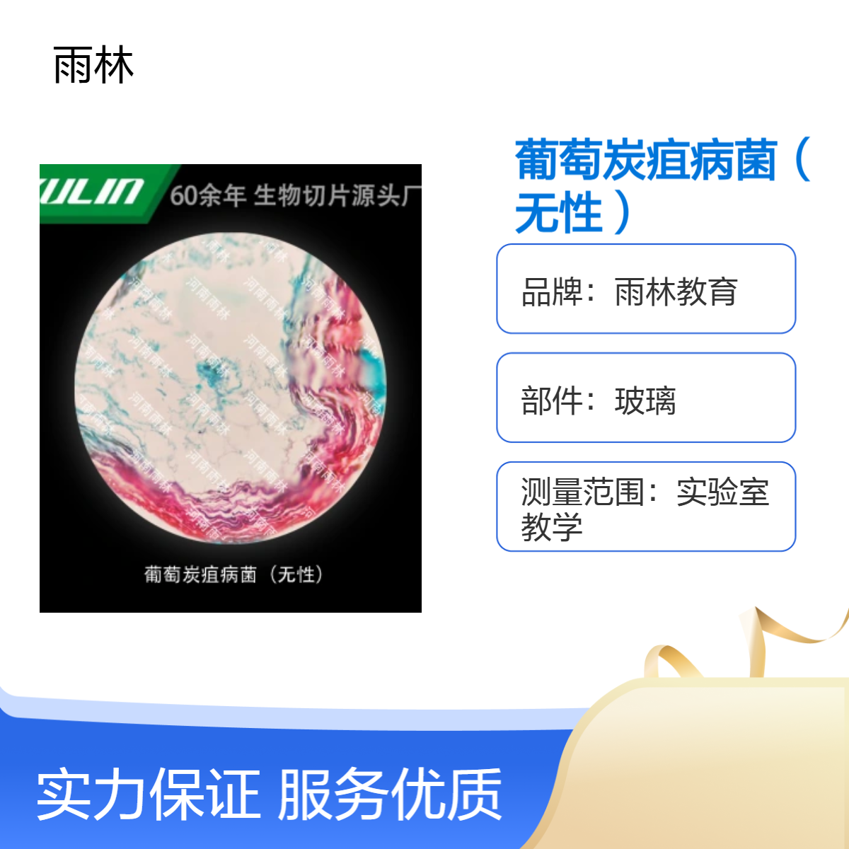 葡萄炭疽病菌（无性）显微镜标本切片动植物细胞观察实验高校教学