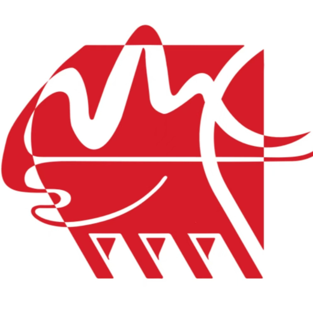 山东山立重工机械有限公司 - 公司logo