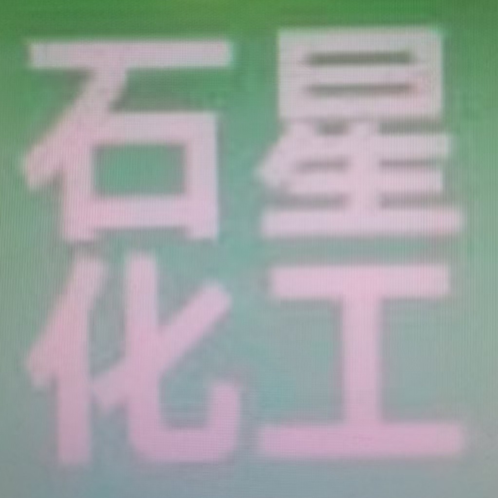 廊坊石星化工有限公司 - 公司logo