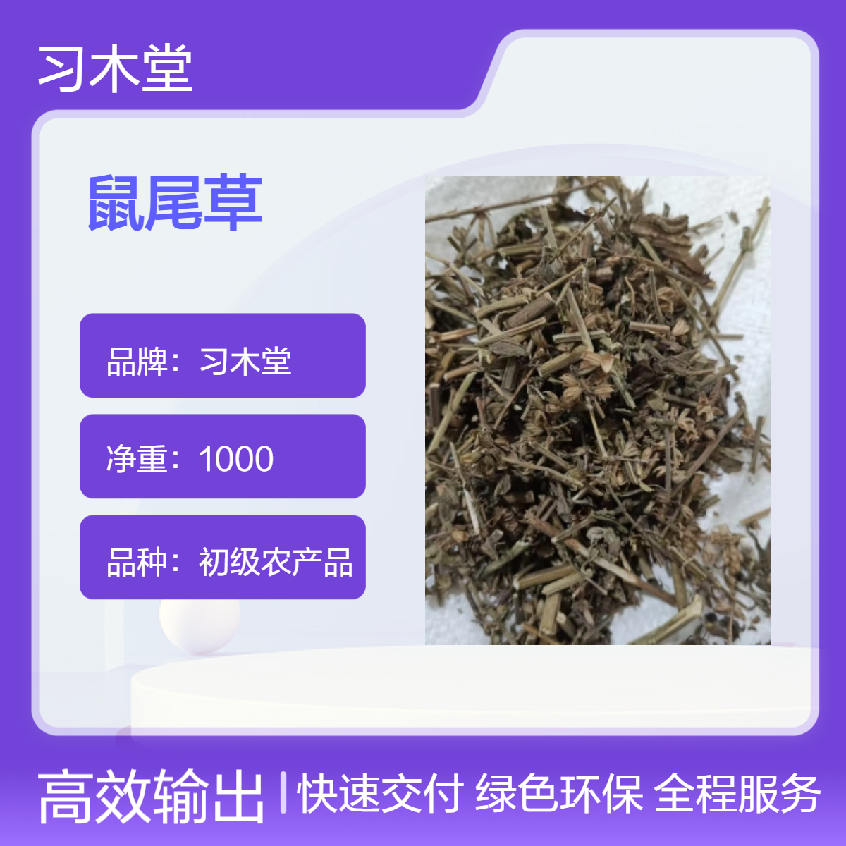 习木堂 供应 中草药 鼠尾草 无硫 新货 品质正宗 货源充足