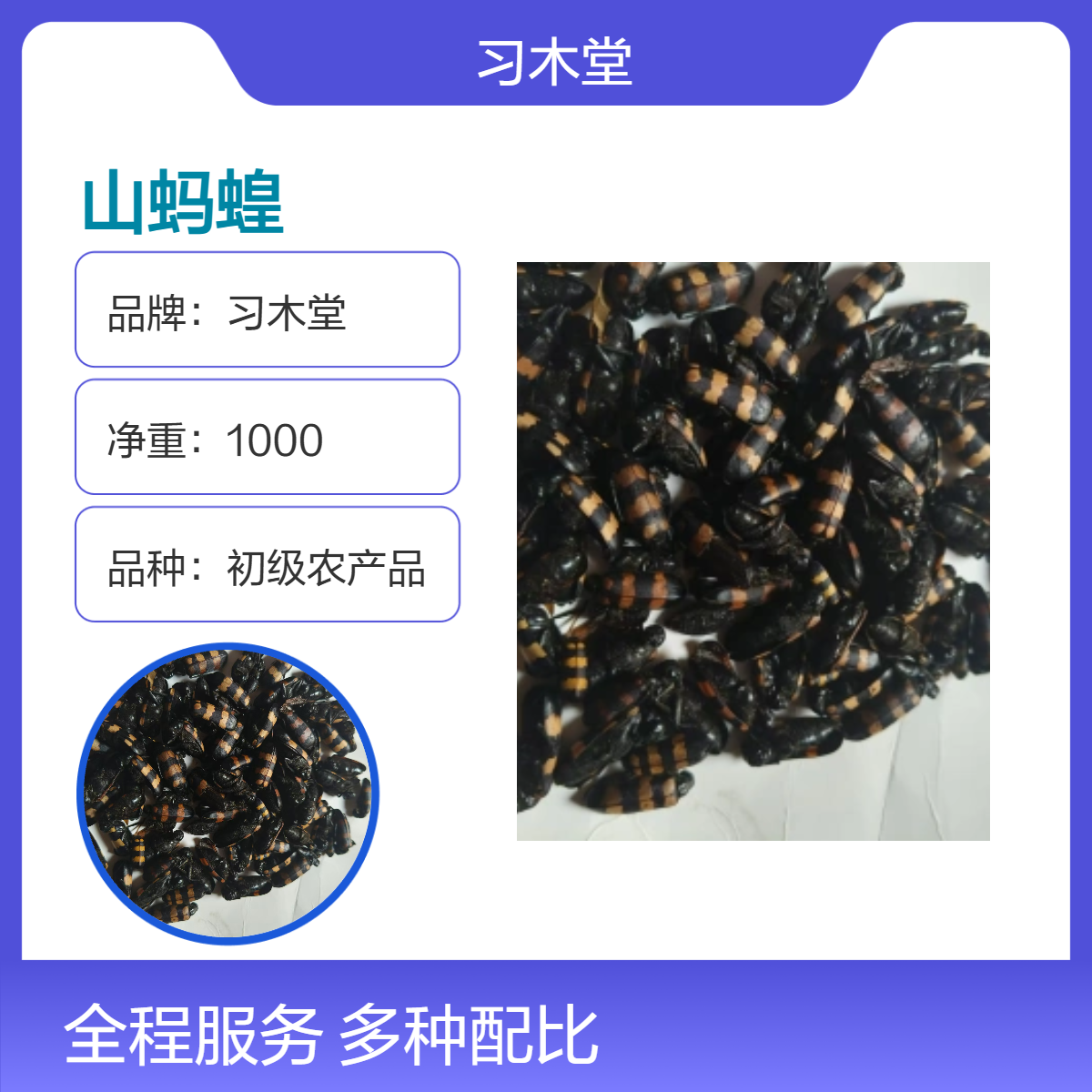 冷背药材 山蚂蝗 仓库直发 新货 无硫 全国发货 保质保量