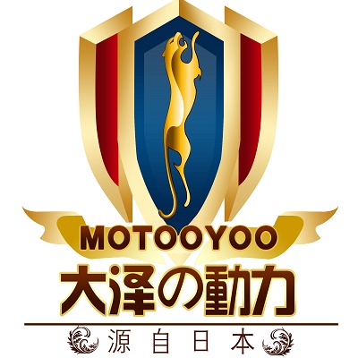 上海沃尔鲁电力有限公司 - 公司logo