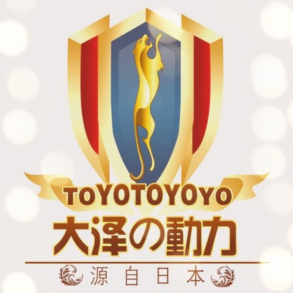 上海沃尔鲁电力有限公司 - 公司logo
