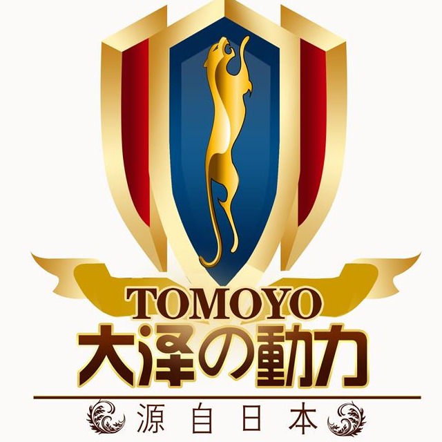 上海沃尔鲁电力有限公司 - 公司logo