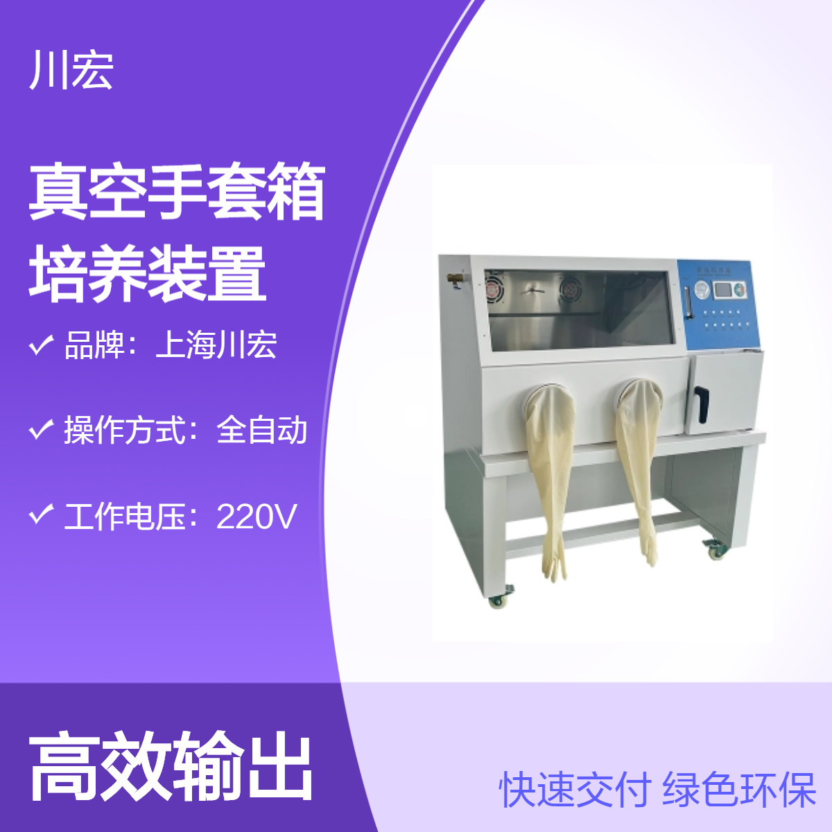 小型真空手套箱 YQX-II 微需氧恒温厌氧培养装置