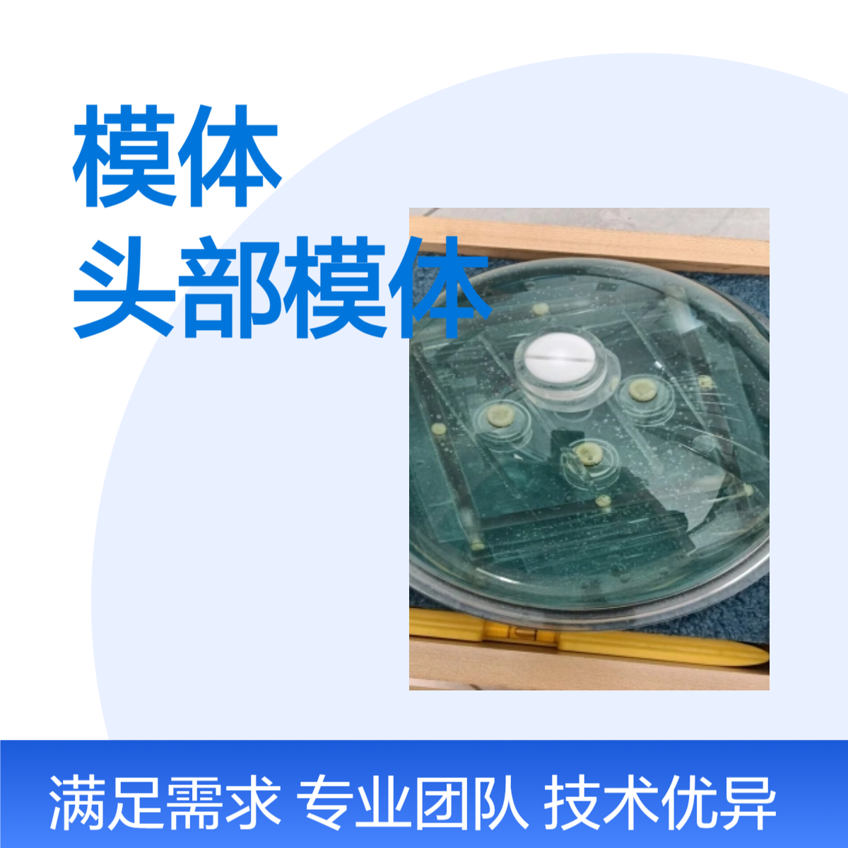 MRI性能检测模体核磁共振头部模体订做加工非标