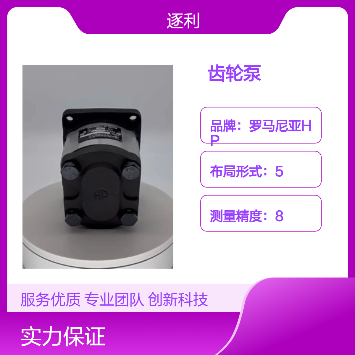罗马尼亚HESPER齿轮泵HP2- 4 4.5 5.5 6.3 8.2 11.3 14 16 19 -A