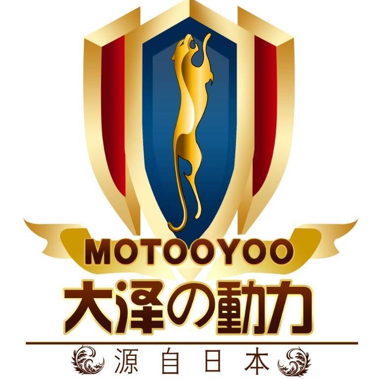 Shanghai Wolu Electric Power Co., Ltd - Company Logo