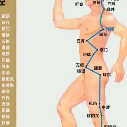 萆薢是什么