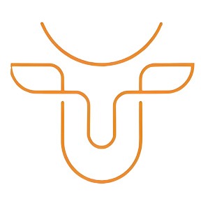 卫特（山东）重工有限公司 - 公司logo