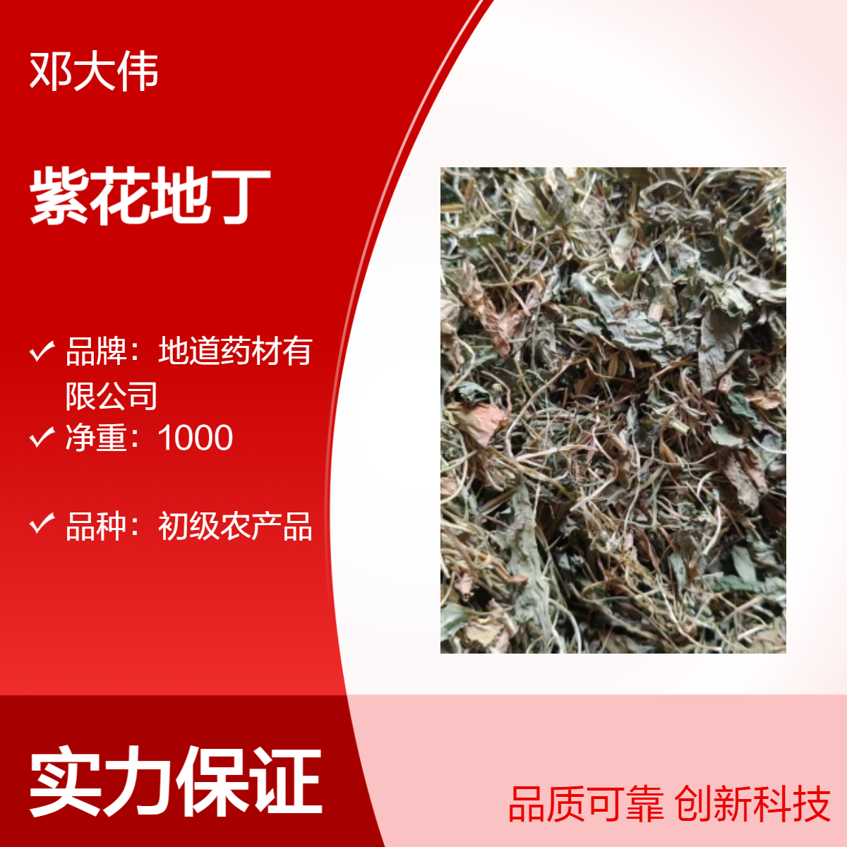 原色原药材紫花地丁 优选佳品 散装3年保质期 全国发货