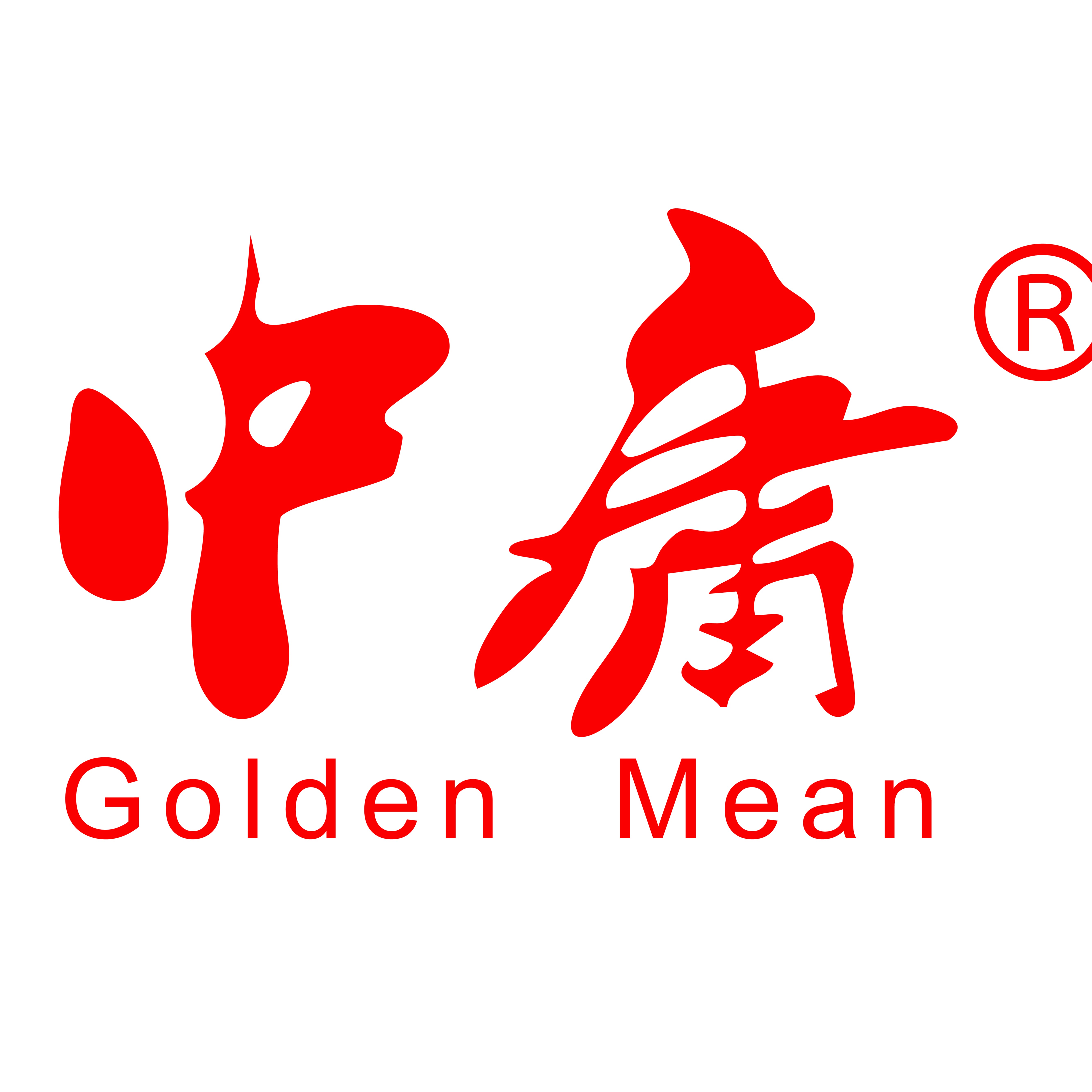 常州市中庸传动设备有限公司