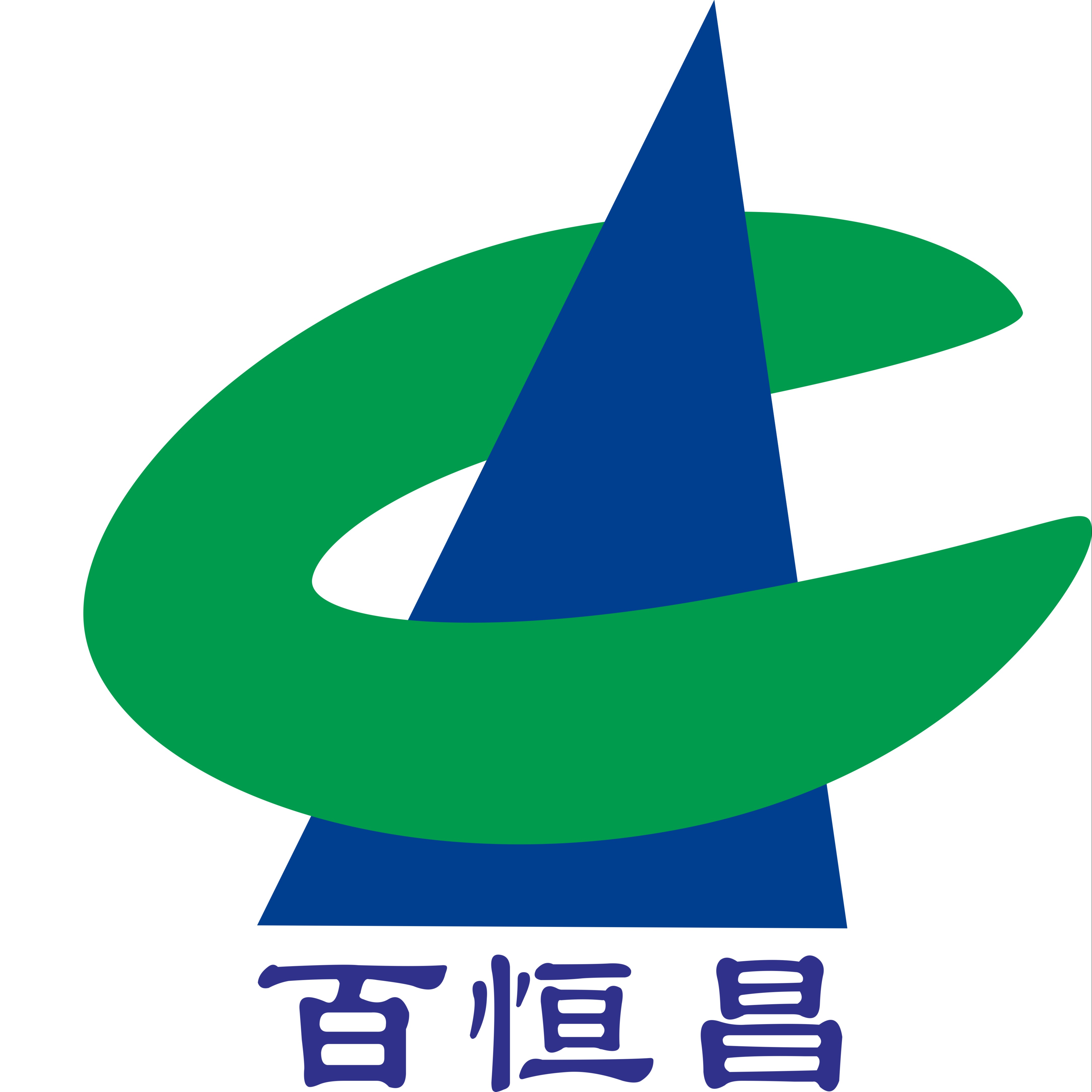 Wuhan Baihengchang Safety Technology Co., Ltd - Company Logo