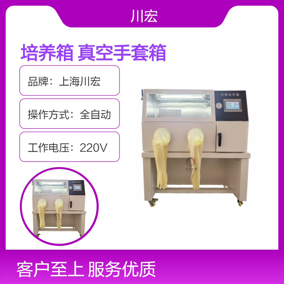 带氧浓度厌氧培养箱 YQX-III 微需氧真空手套箱