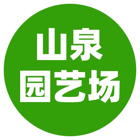 泰安开发区山泉园艺场