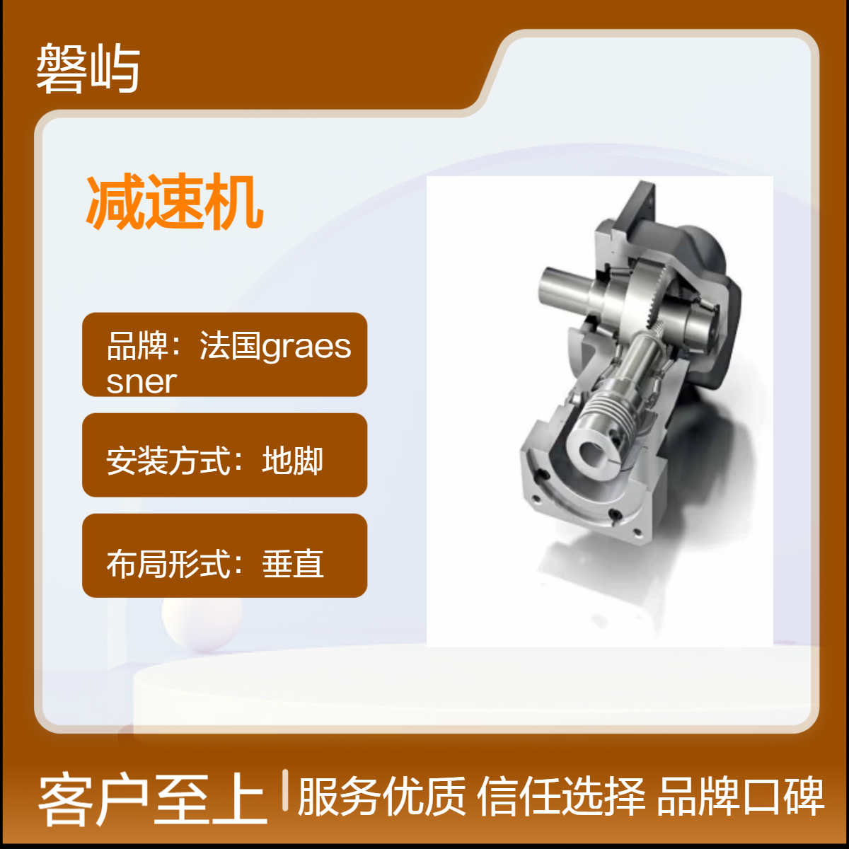 Graessner格莱斯纳DynaGear经济型DE系列实心轴减速机原厂正品