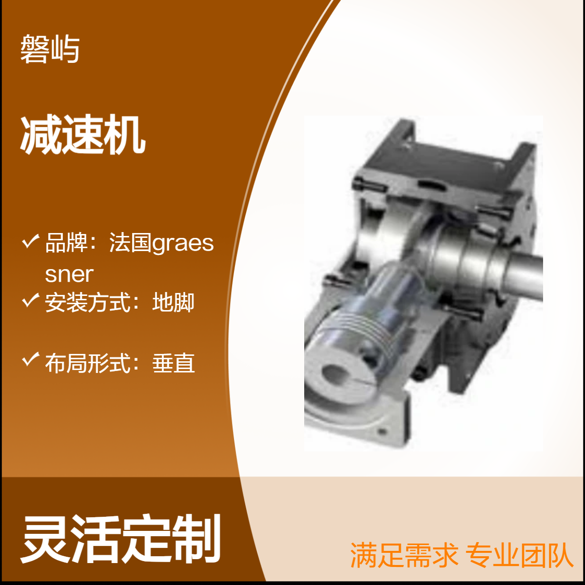 Graessner格莱斯纳DynaGear经济型DG系列空心轴减速机原厂正品