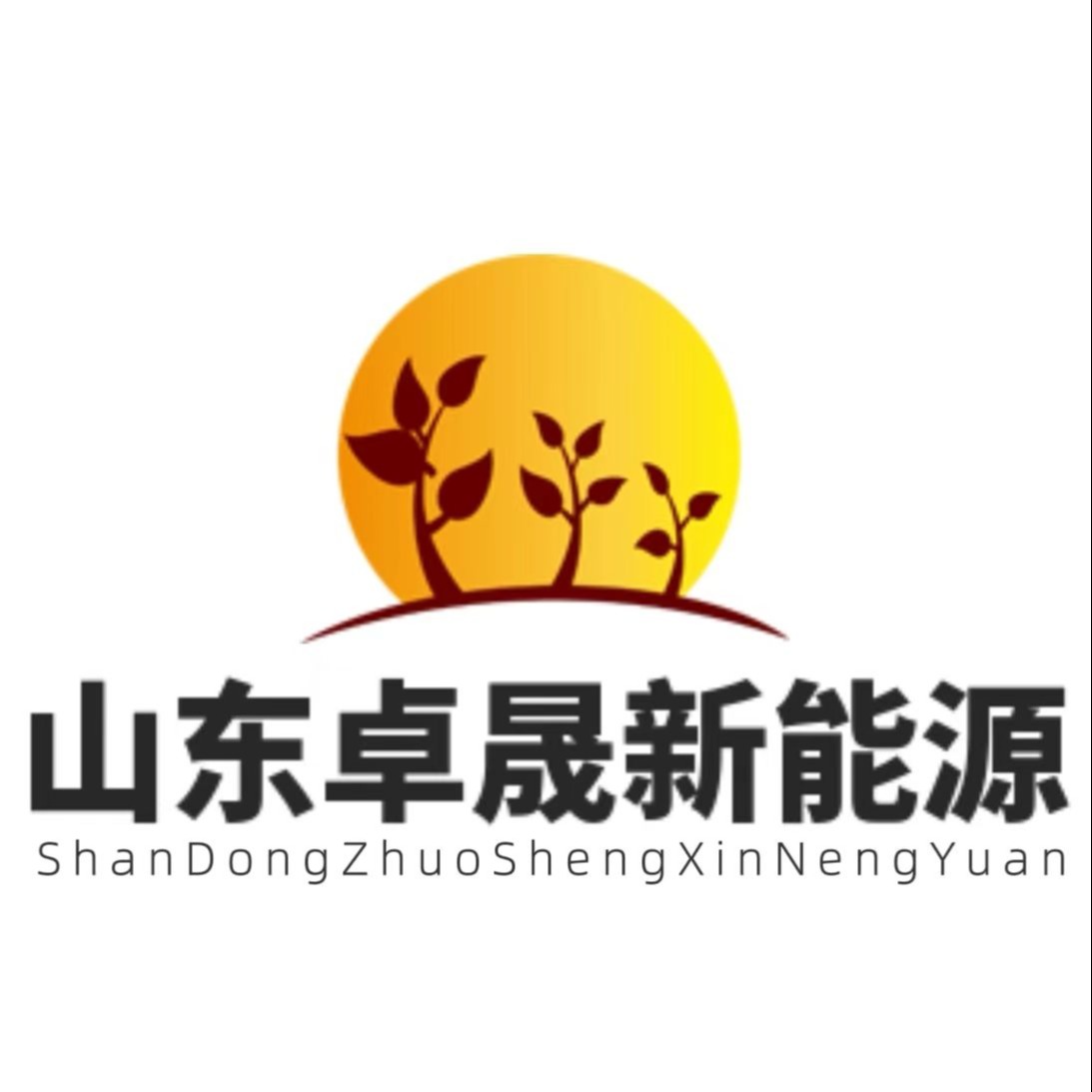 山东卓晟新能源有限公司