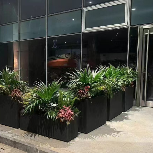 室内景观植物有哪些养护技巧