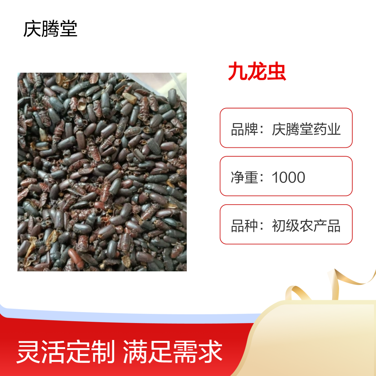 供应 九龙虫 洋虫 新货 自然晒干 品质正宗 仓库直发