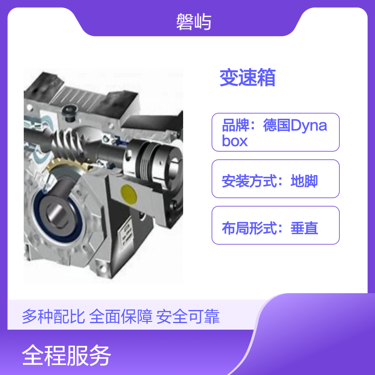 法国Dynabox 350 220v/60Hz变速箱原装正品改装和定制