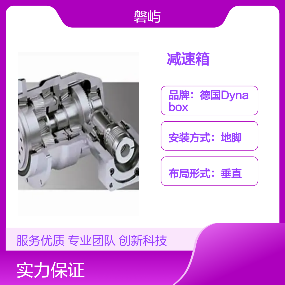 德国Dynabox基础45B3.125CH1F减速器减速箱原厂正品