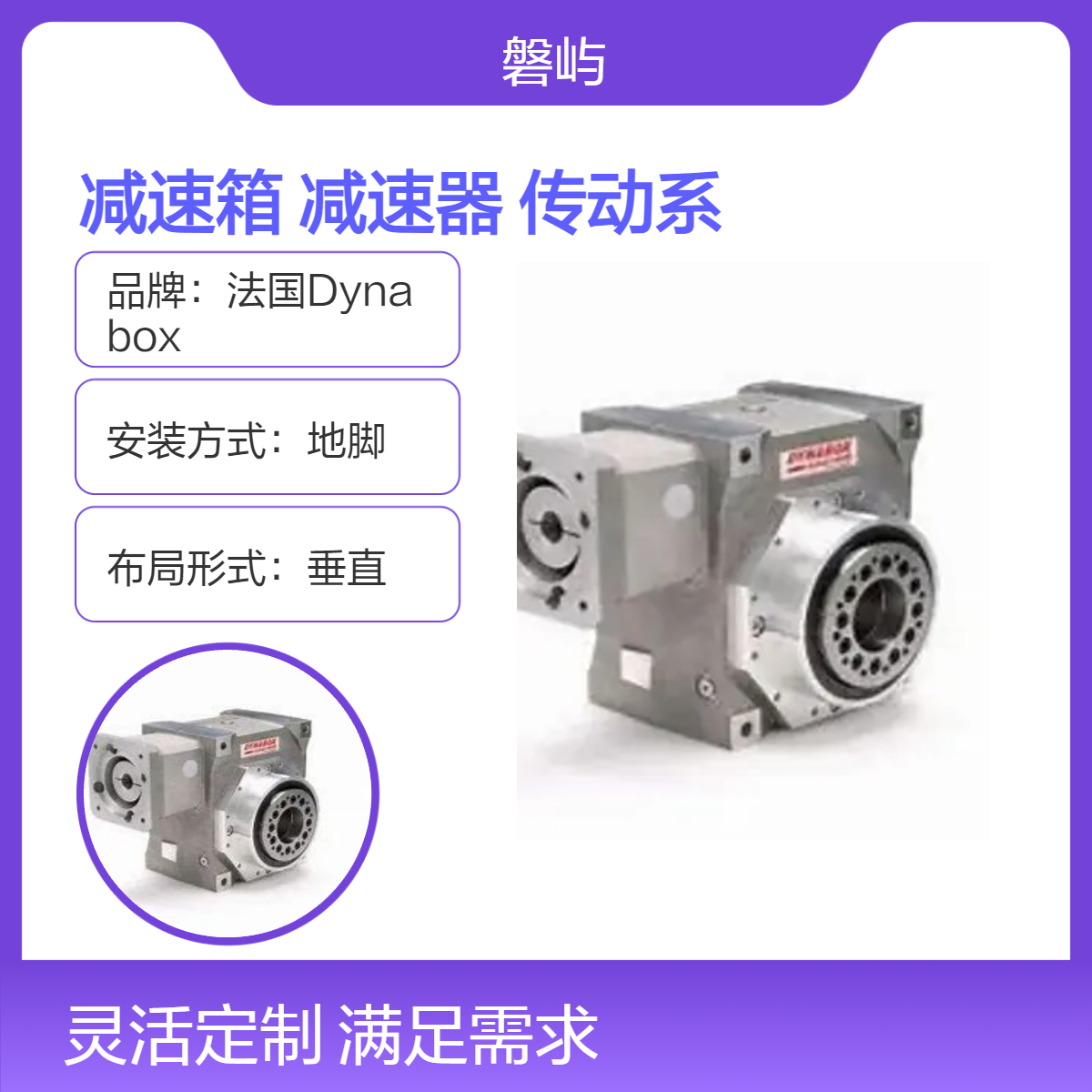 法国Dynabox减速箱速度减速器WES30传动系统厂家直采