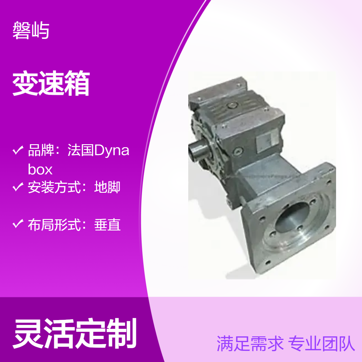 法国Dynabox110Basic7.25CRH2蜗杆伺服变速箱厂家直发