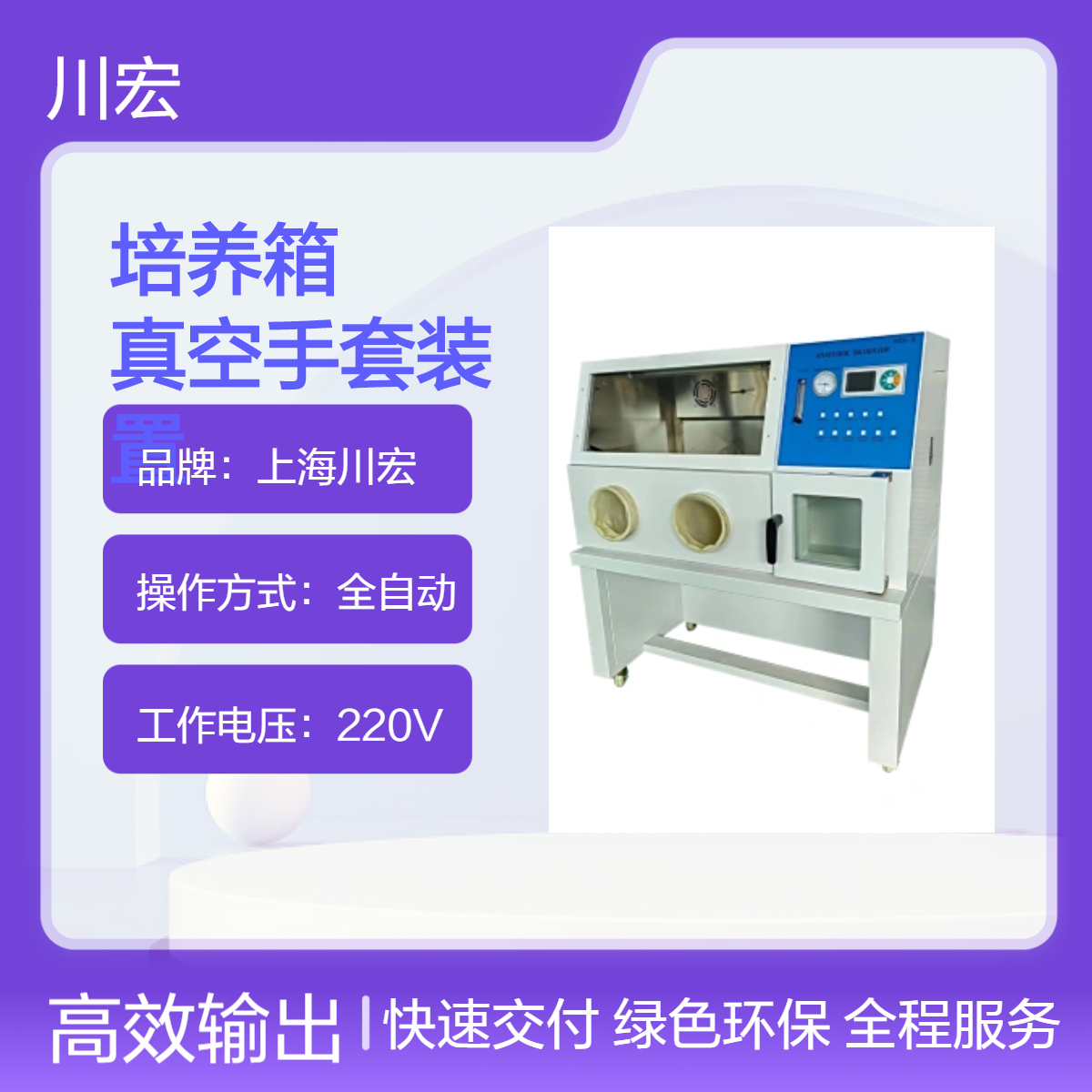 厌氧培养箱 YQX-II 惰性气体微需氧真空手套装置