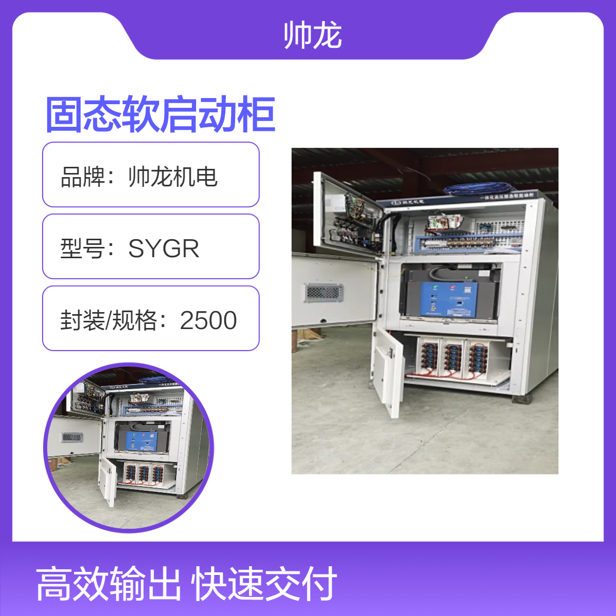 帅龙机电SGR型高压固态软启动柜 球磨机空压机大型电机起动柜