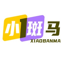 江宁区小斑马网络经营部（个体工商户） - 公司logo