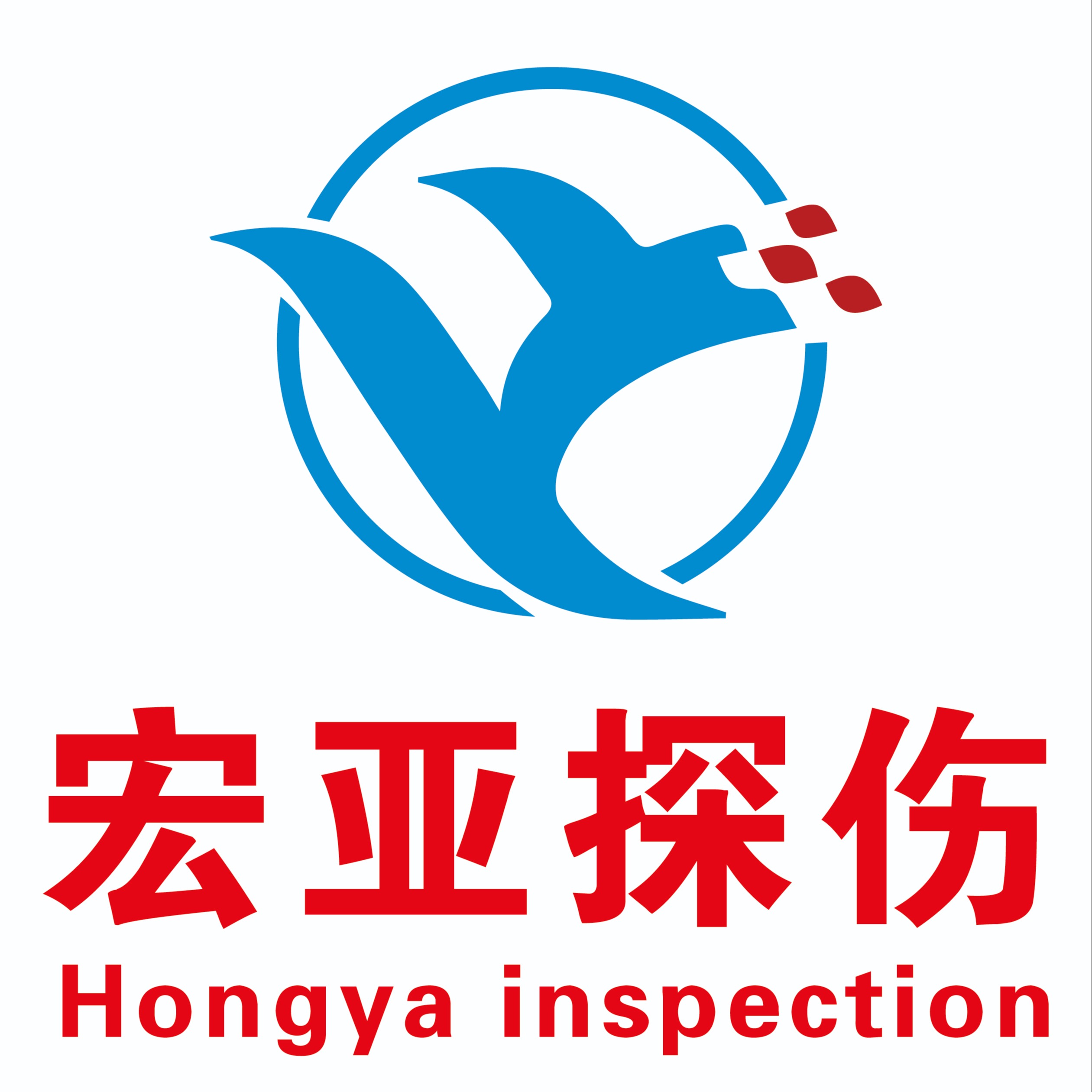 射阳宏亚无损检测设备有限公司 - 公司logo