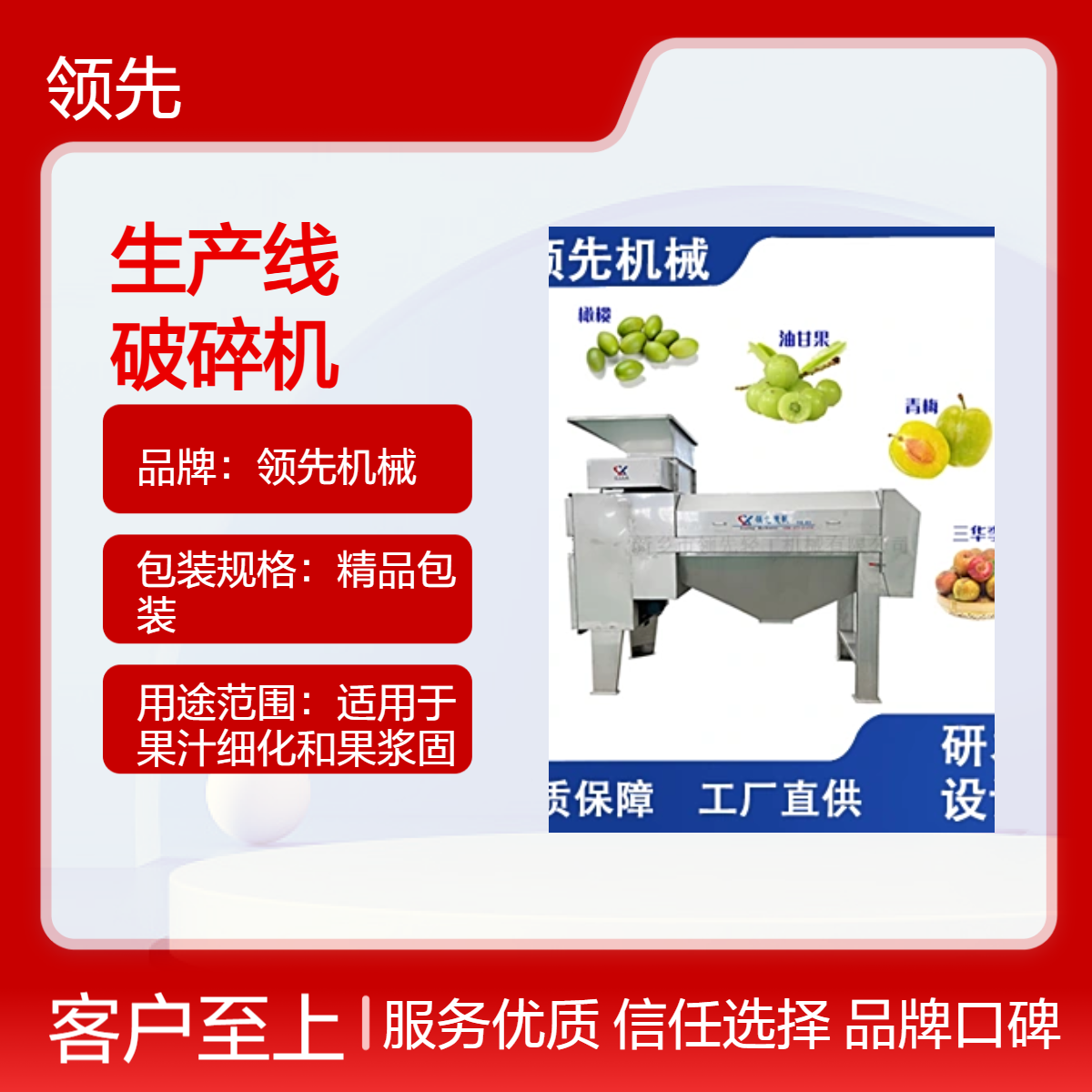 油柑子清洗去核榨汁生产线设备 三秒回甘的油柑汁 余甘子去核破碎机