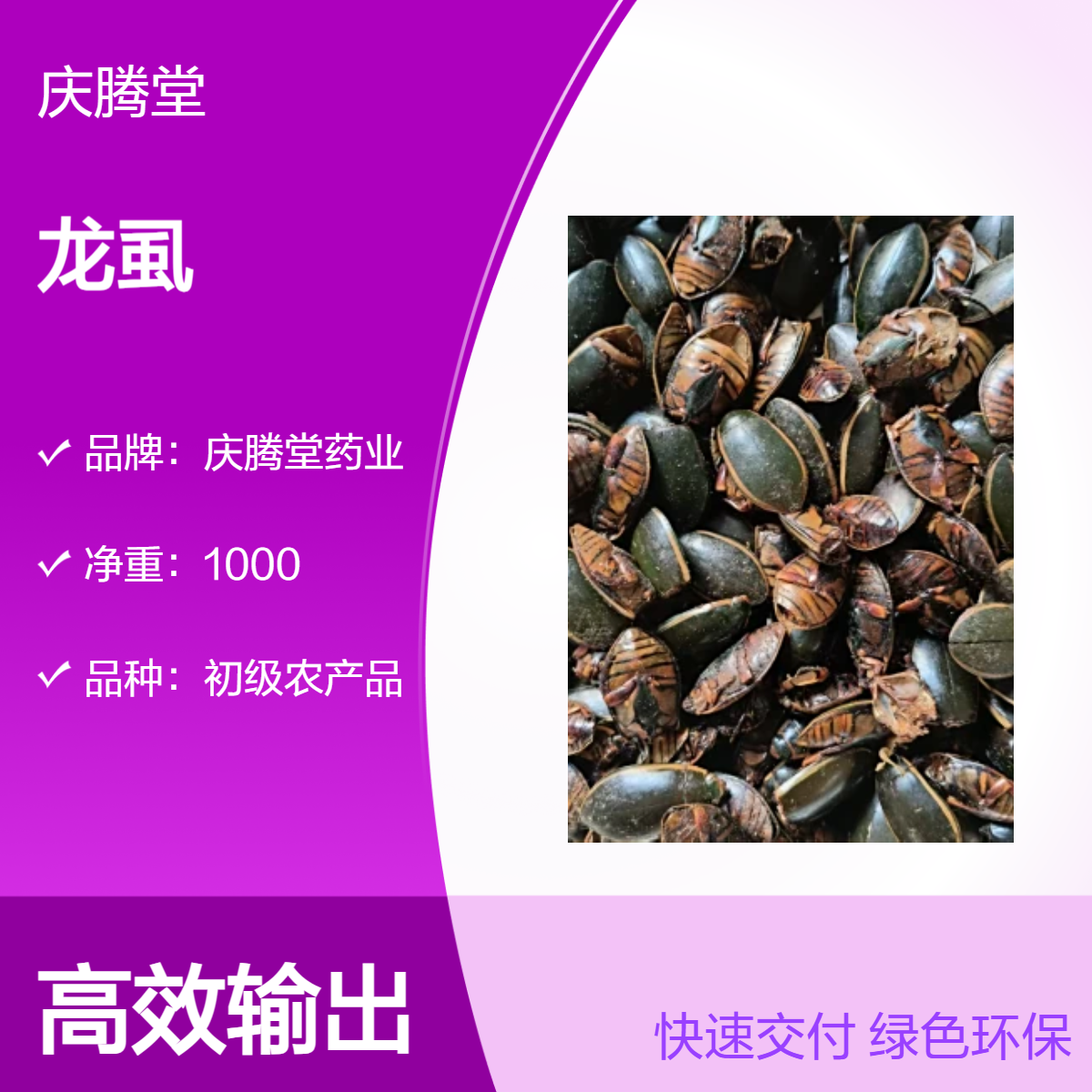 正宗 龙虱 产地直售 各种规格 品质好 无硫 干净 无杂质