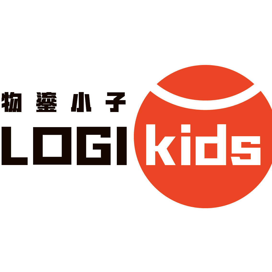湖南物鎏小子智能装备有限公司 - 公司logo