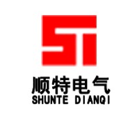 山东顺特电气有限公司