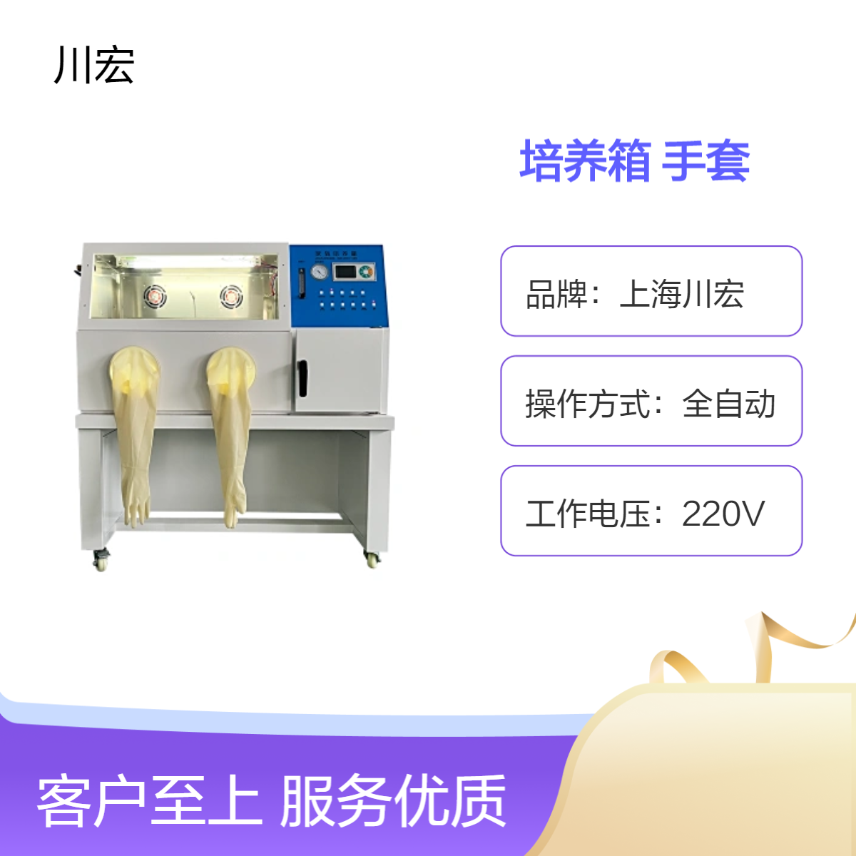 真空厌氧培养箱 YQX-II 带培养室微需氧手套设备