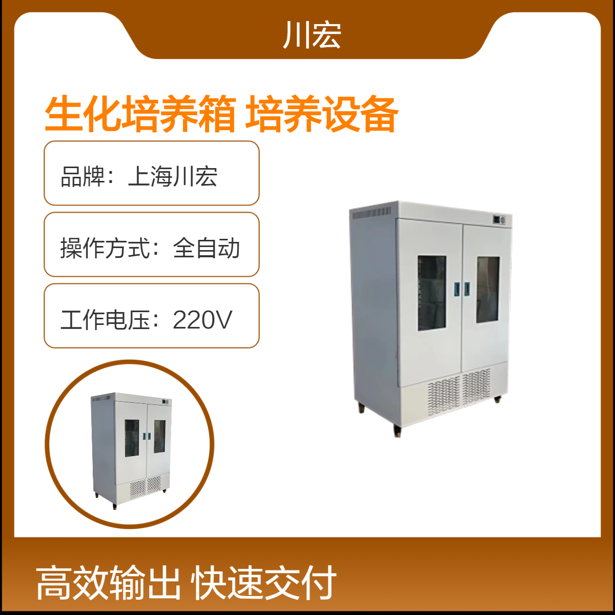 大小容量生化培养箱 SPX-600B 恒温微生物培养设备