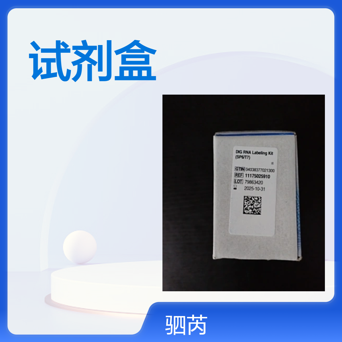 1117502910默克密理博DIG RNA标记试剂盒SP6/T7