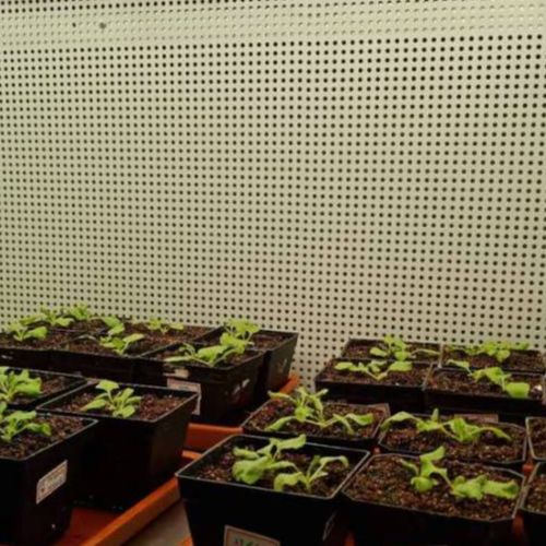 带盖刚玉匣钵使用时有哪些禁忌