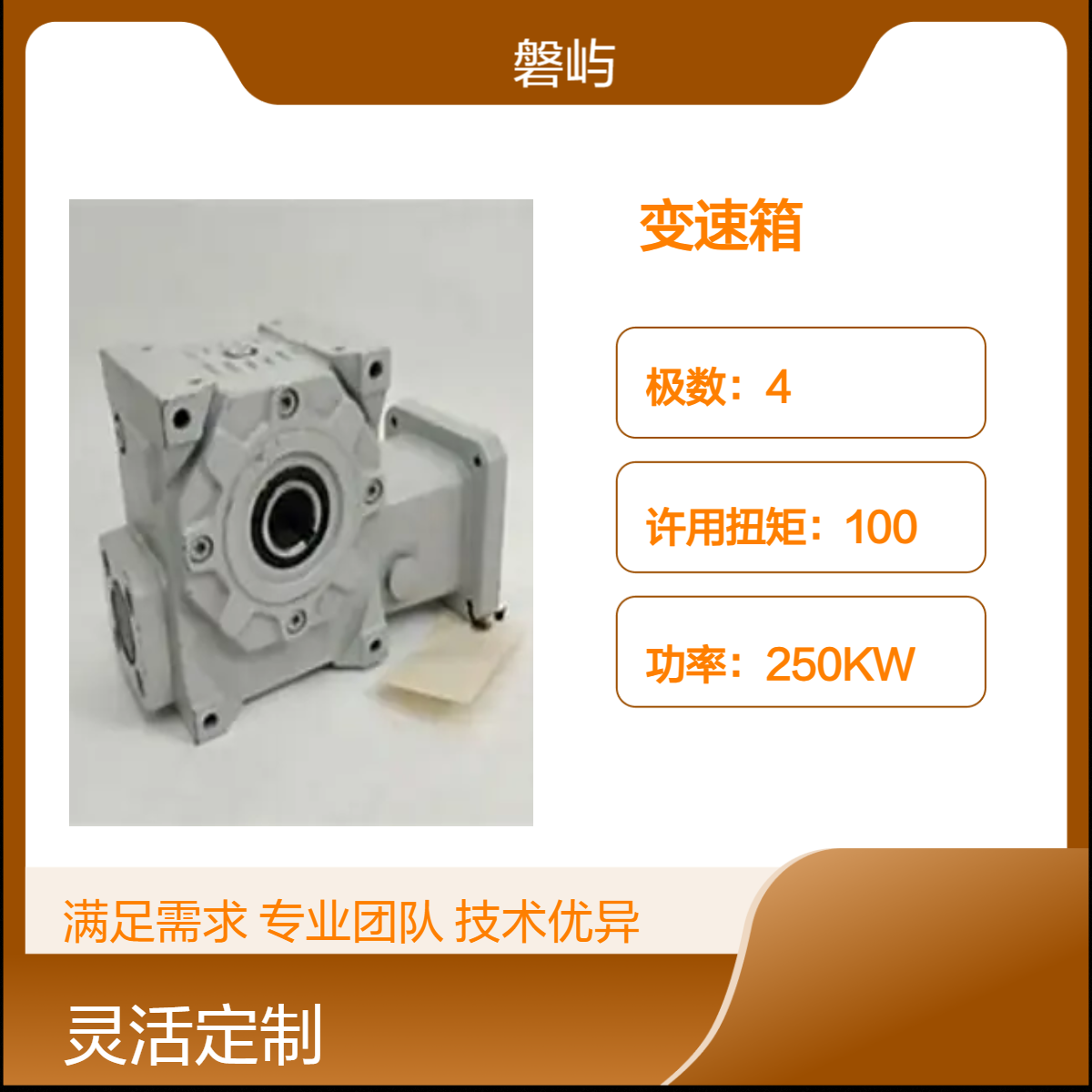 法国Dynabox立式螺旋齿轮变速箱原装正品维修替换
