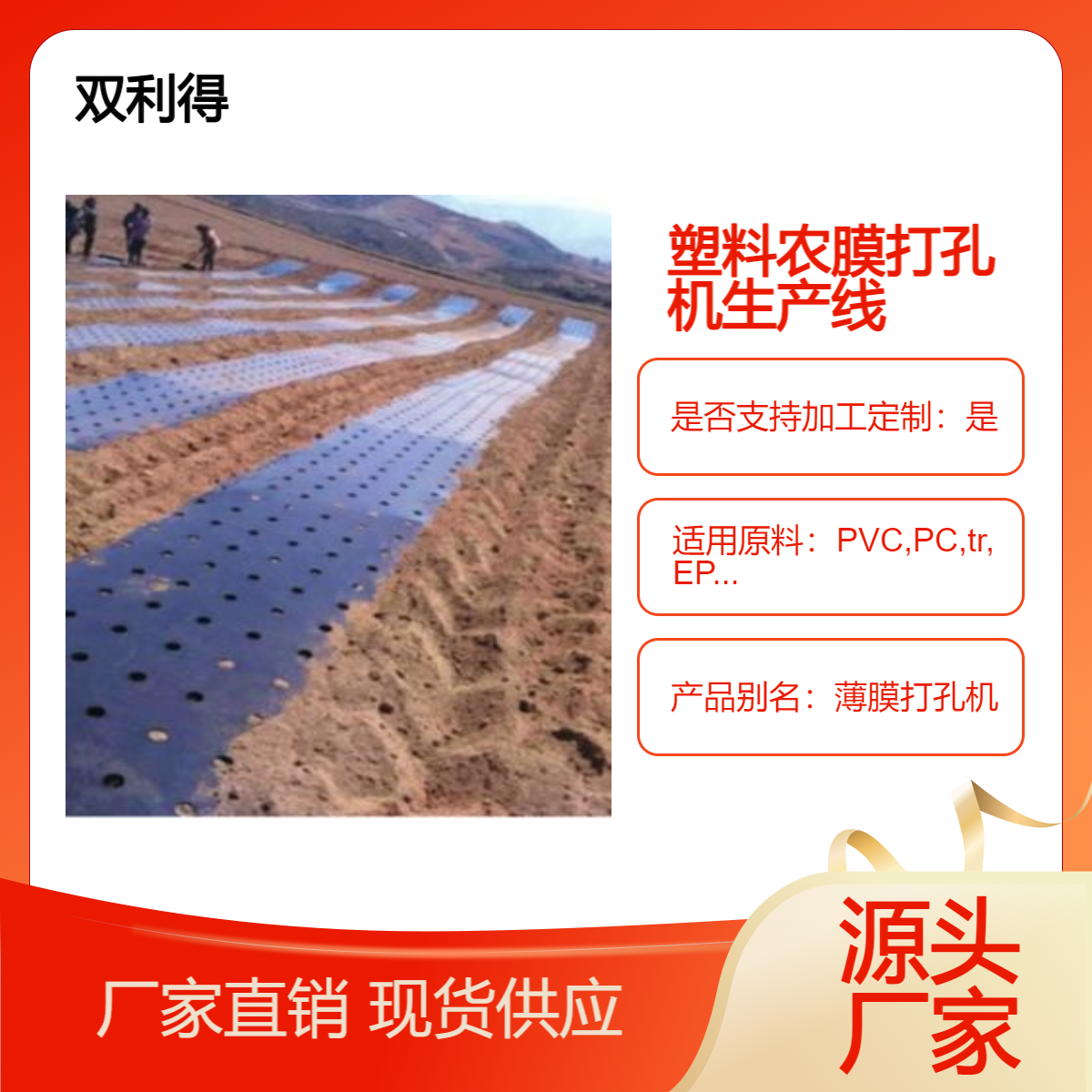 根据客户需求双利得厂家直供农膜打孔机器 塑料地膜打孔机生产线