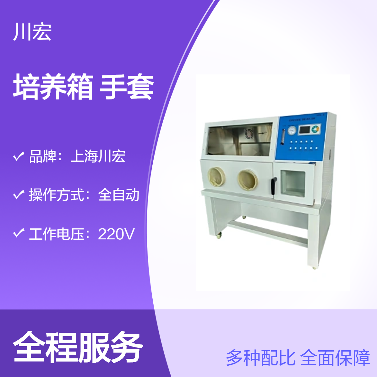 川宏仪器常规厌氧培养箱 YQX-II 真空微需氧手套设备