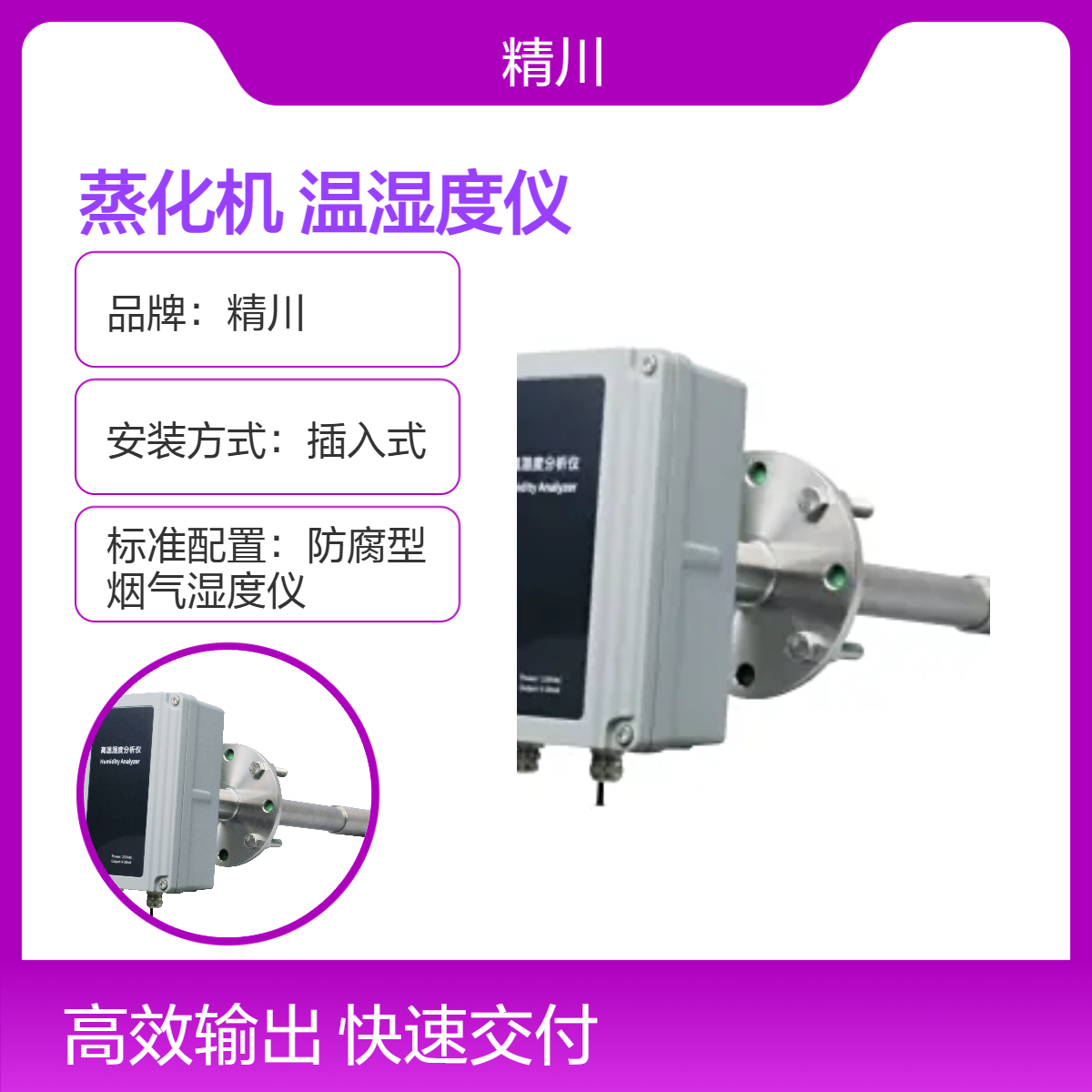 一体式蒸化机专用温湿度仪 316L材质 液晶显示 精川国产品牌