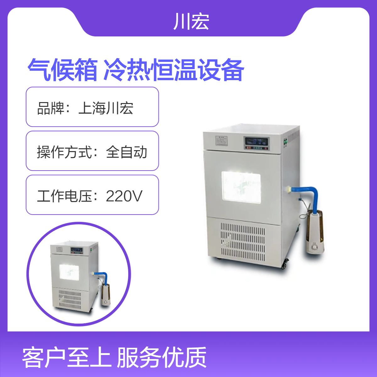 人工气候箱 PRX-250A 小动物饲养冷热恒温设备
