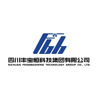 四川丰宝恒科技集团有限公司 - 公司logo
