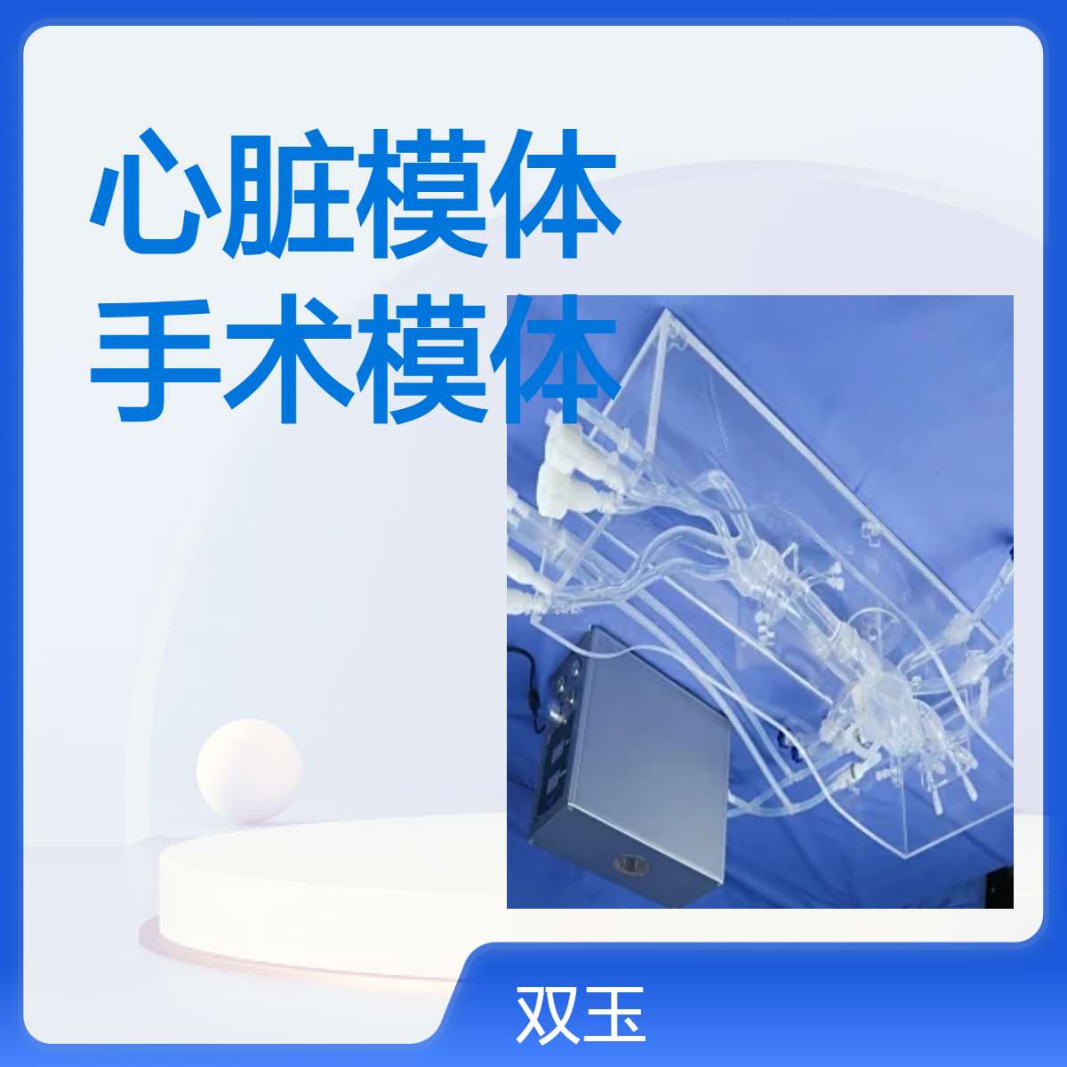 模拟训练心脏模体心脏电生理介入手术模体加工定制