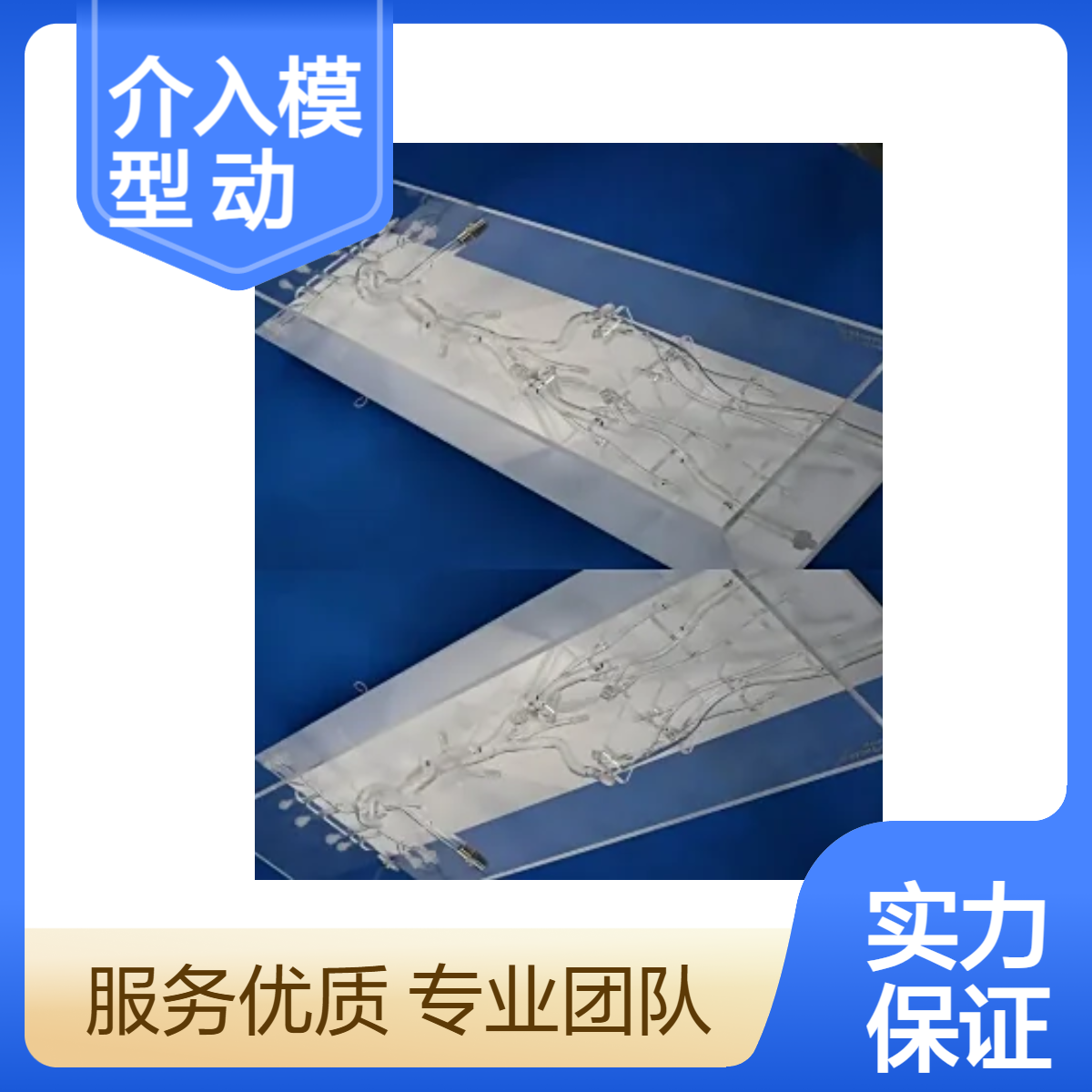 全身血管介入模型内窥镜模拟动脉血管模型加工定制