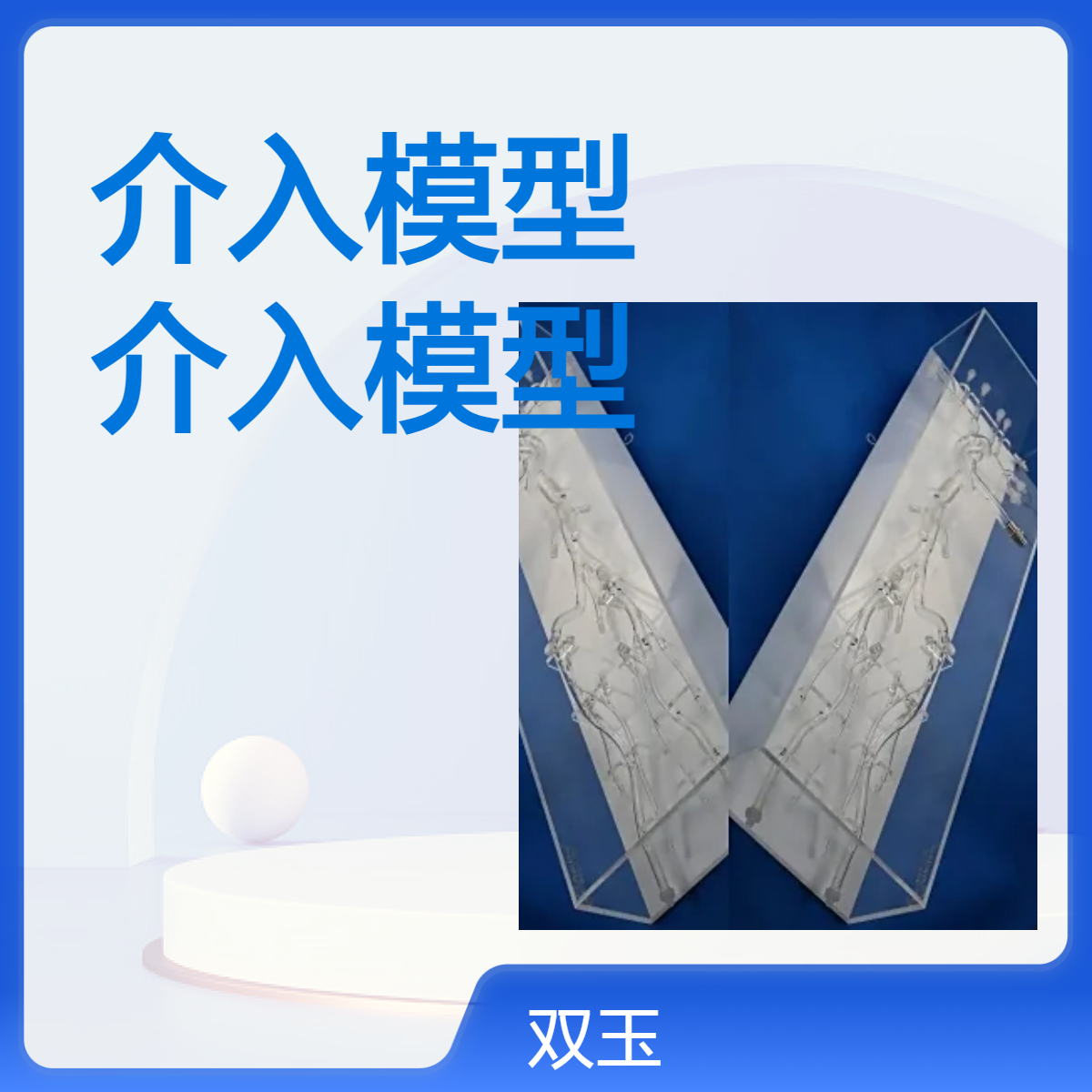 全静脉血管入模型全省动脉血管介入模型加工定制